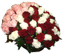 Доставка роз и комбинированных букетов из роз с другими цветами. Большие корзины из 50-100 роз со скидками. 